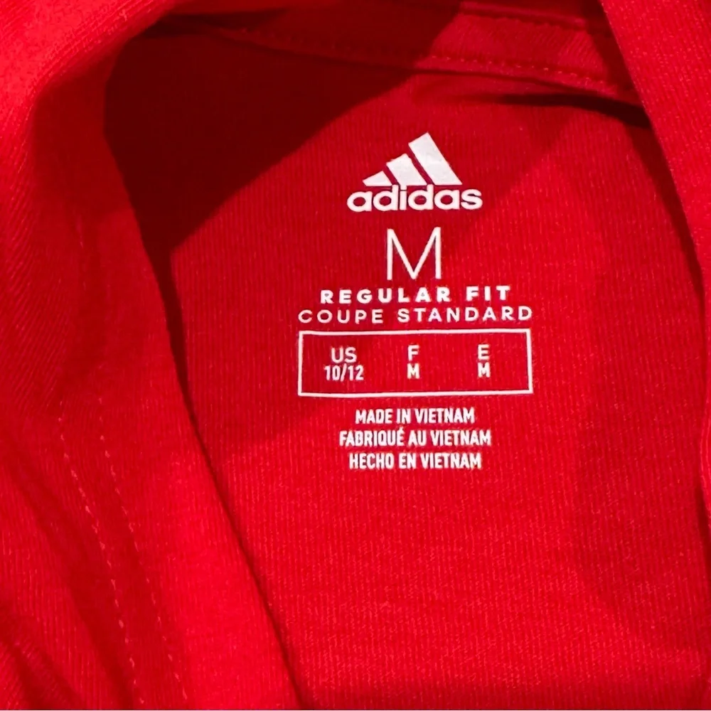 Adidas Boys Long Sleeve Hooded Tee and Jogger Pants Set